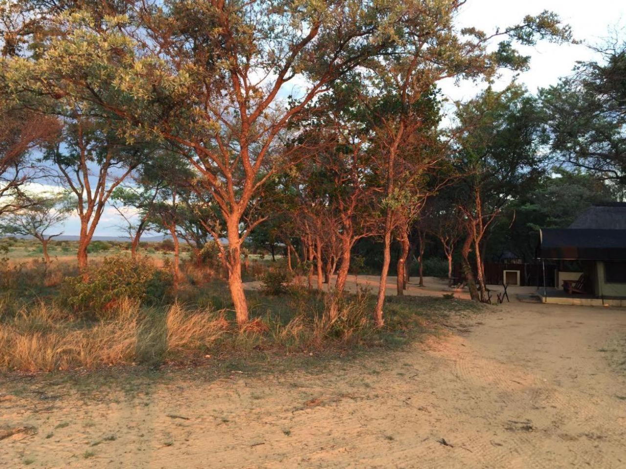 Kigeni Safari Lodge & Spa Vaalwater Exteriér fotografie