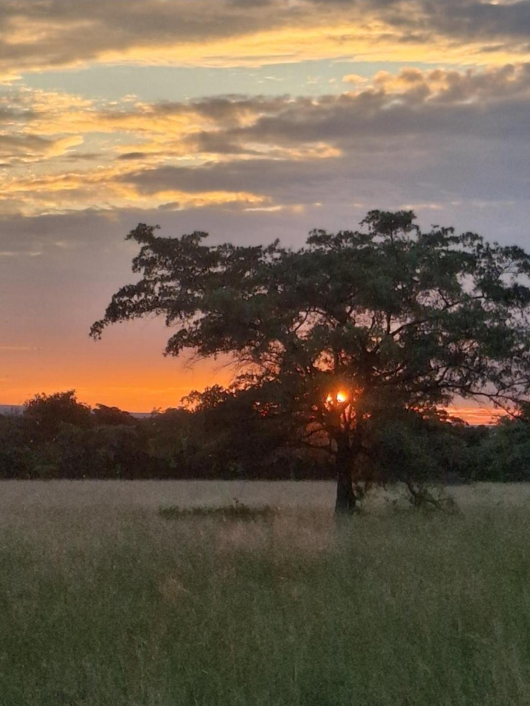 Kigeni Safari Lodge & Spa Vaalwater Exteriér fotografie